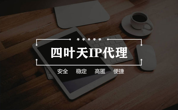 【霍邱代理IP】如何快速搭建代理IP？怎么检查代理的效果？